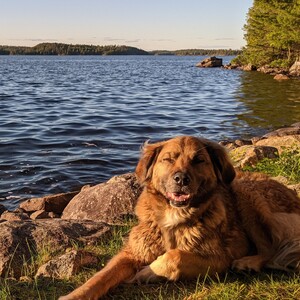 Fundraising Page: Kristen Braun